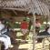 dscn3170.jpg dscn3170.jpg