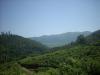 Freedom Walk Days 33 and 34 - Kanchiyoor to Kodungoor