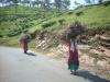 Freedom Walk Days 33 and 34 - Kanchiyoor to Kodungoor