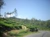 Freedom Walk Days 33 and 34 - Kanchiyoor to Kodungoor