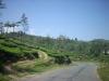Freedom Walk Days 33 and 34 - Kanchiyoor to Kodungoor