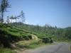 Freedom Walk Days 33 and 34 - Kanchiyoor to Kodungoor