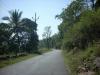 Freedom Walk Days 33 and 34 - Kanchiyoor to Kodungoor
