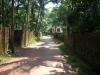 Freedom Walk Day 6 Photos (Mulathilangady to Mahe)