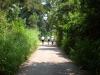 Freedom Walk Day 6 Photos (Mulathilangady to Mahe)