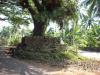 Freedom Walk Day 6 Photos (Mulathilangady to Mahe)