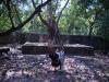 Freedom Walk Day 6 Photos (Mulathilangady to Mahe)