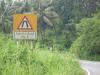 Freedom Walk Day 9 Photos (Thottilpaalam to Korome)