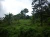 Freedom Walk Day 9 Photos (Thottilpaalam to Korome)
