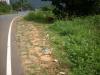 Freedom Walk Day 9 Photos (Thottilpaalam to Korome)