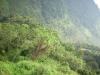 Freedom Walk Day 9 Photos (Thottilpaalam to Korome)