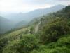 Freedom Walk Day 9 Photos (Thottilpaalam to Korome)