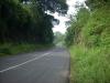 Freedom Walk Day 23 Photos (Alathur to Pattikkaadu)