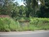 Freedom Walk Day 30 Photos - Anicaadu to Arakkulam