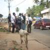 Freedom Walk - Day 44 Photos (Kazhakkuttam to Trivandrum)