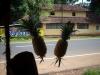 Freedom Walk Day 19 Photos (Malappuram - Thazhekkode)