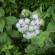 DSCN0166.JPG