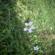 DSCN0209.JPG