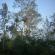 DSCN0404.JPG