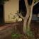 DSCN2580.JPG
