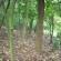 DSCN5788.JPG