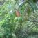 DSCN7560.JPG