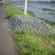 DSCN7736.JPG
