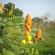 DSCN7774.JPG