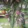 DSCN7881.JPG