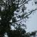 DSCN7945.JPG
