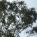 DSCN7947.JPG