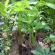 DSCN7956.JPG