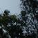 DSCN7962.JPG