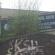 DSCN8238.JPG
