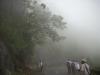 Freedom Walk Day 9 Photos (Thottilpaalam to Korome)