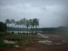 Freedom Walk Day 25 Photos (Thrissur to Chalakkudy)