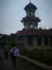 Freedom Walk Day 30 Photos - Anicaadu to Arakkulam