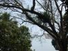 Freedom Walk - Day 39 Photo Gallery (Thiruvalla to Kaipattoor)