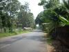 Freedom Walk - Day 39 Photo Gallery (Thiruvalla to Kaipattoor)