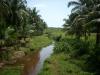 Freedom Walk Day 1 Photos (Kasargod to Kanhangad)